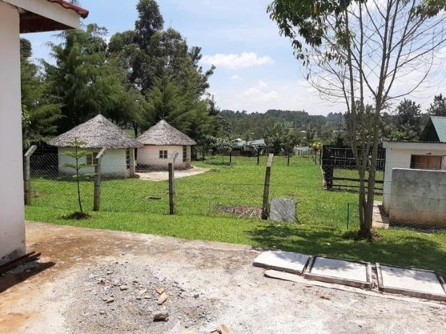 4 acres Diary Farm with a 4 bedroom house