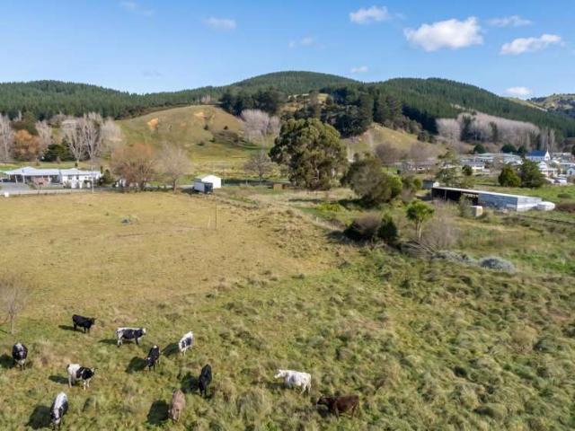 4 and 6 Charles Street, Tinui, Masterton