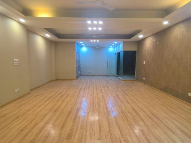 4 Bedroom 4500 Sq.Ft. Apartment in Safdarjung Enclave Delhi Listing ID: #9622