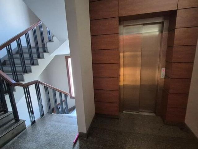 4 Bedroom 600 Sq.Yd. Builder Floor in Safdarjung Development Area Delhi Listing ID: #10302