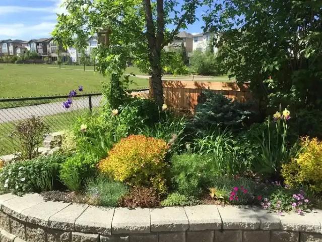 4 Bedroom House Calgary AB 104180396