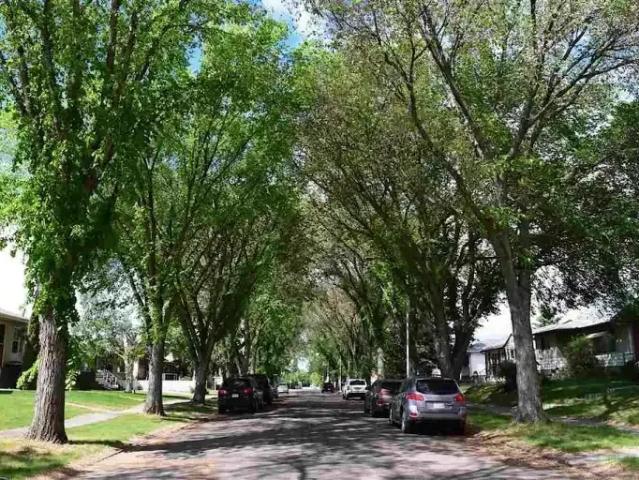 4 Bedroom House Edmonton AB 103060449