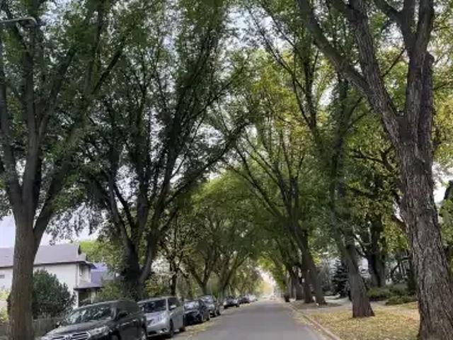 4 Bedroom House Edmonton AB LS102578703
