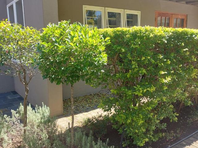 4 Bedroom house for sale in Hospitaalpark, Ladysmith