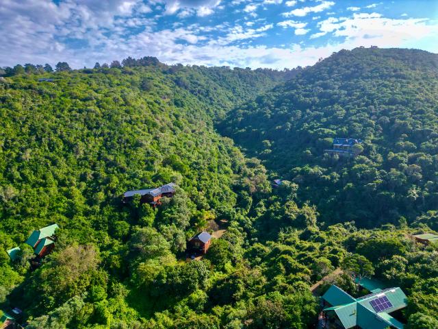 4 Bedroom House For Sale in Wilderness Central