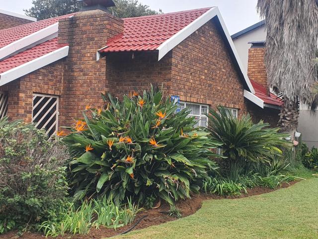 4 Bedroom House in Heidelberg AH