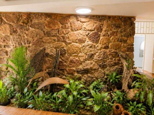 4 Bedroom House in Modimole Nylstroom