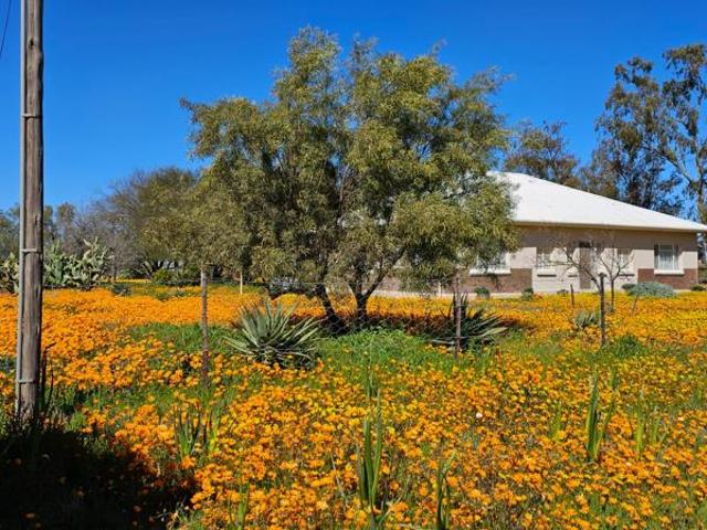 4 Bedroom House in Nieuwoudtville