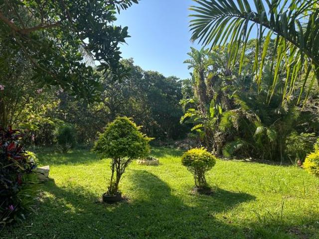 4 Bedroom House in Palm Beach