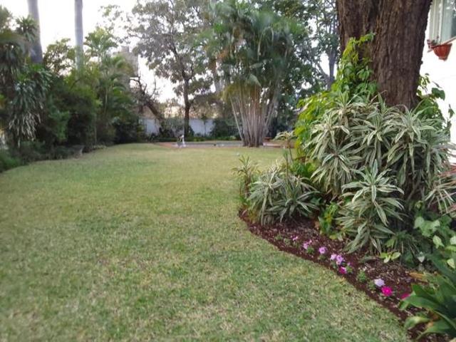 4 Bedroom House in Phalaborwa