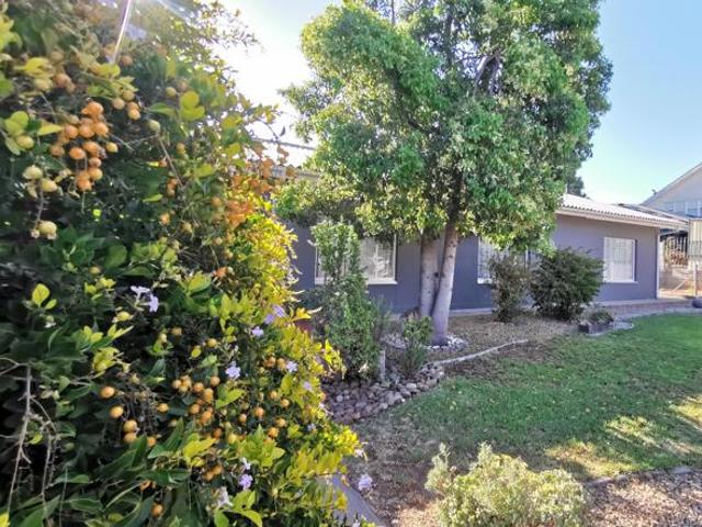 4 Bedroom House in Van Riebeeck Park