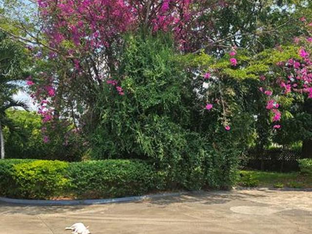 4 bedroom house on sale Nyali, Mombasa
