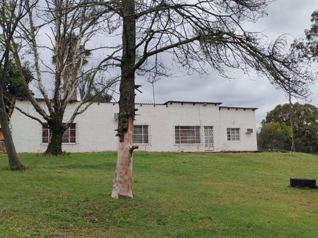 4 Bedroom House To Rent in Driefontein