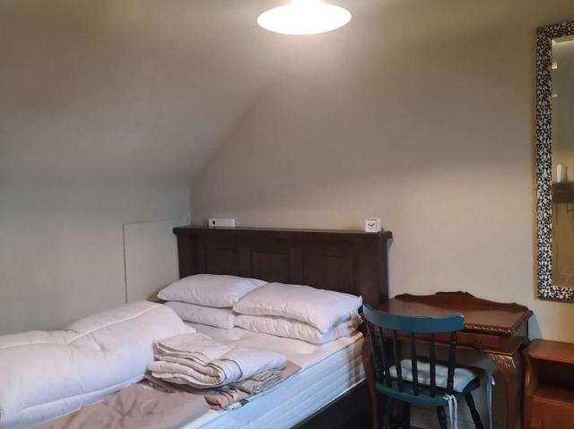 4 Bedroom Shared Living Dublin Dublin D18 VF51 LS99523207