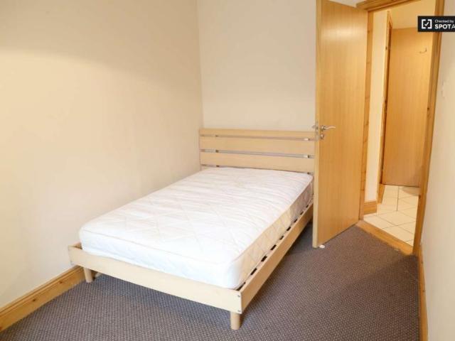 4 Bedroom Shared Living Dublin Dublin DUBLIN 15 99635335