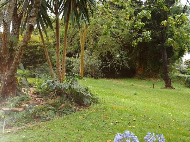 4 Bedrooms Bungalow For Sale in old Runda
