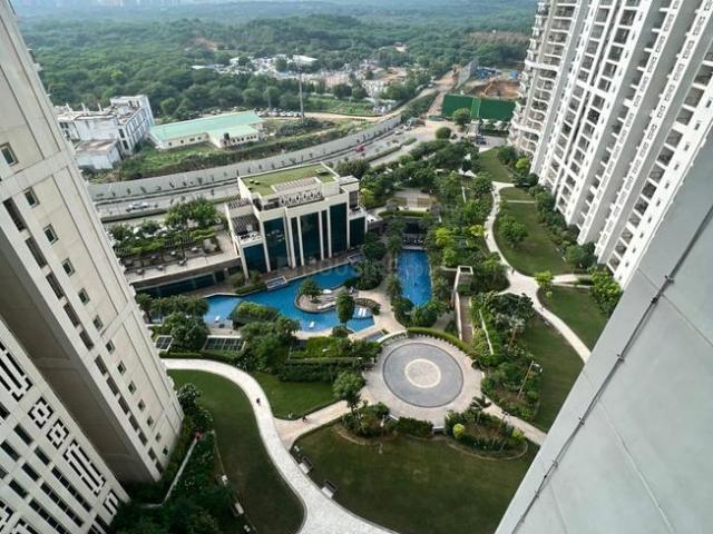 4 BHK Apartment in DLF Phase 5 for rent Gurgaon. The reference number is 19036288