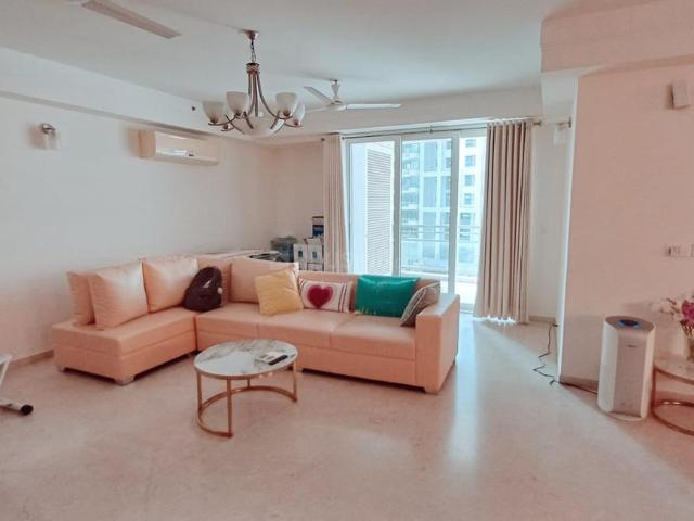 4 BHK Apartment in DLF Phase 5 for rent Gurgaon. The reference number is 20939929