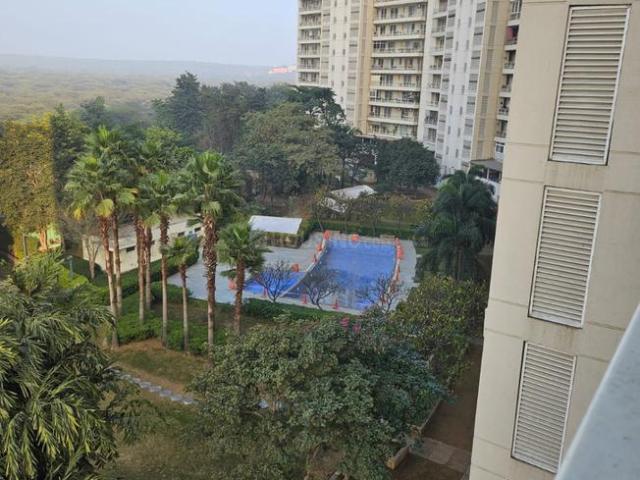 4 BHK Apartment in Sector 54 for rent Gurgaon. The reference number is 19837394
