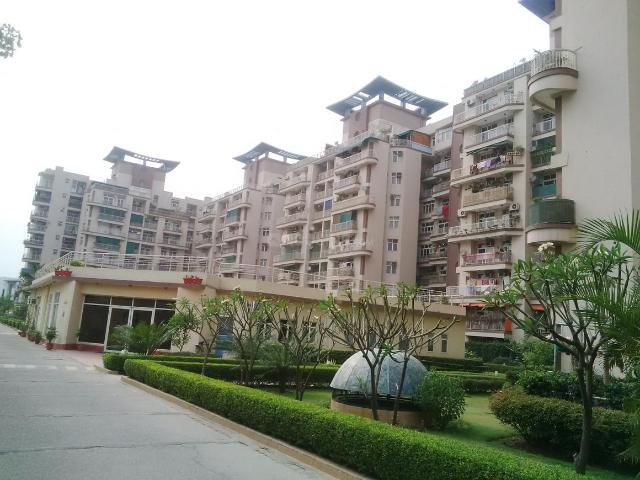 4 BHK Apartment in Sector 50 for rent Noida. The reference number is 17734968