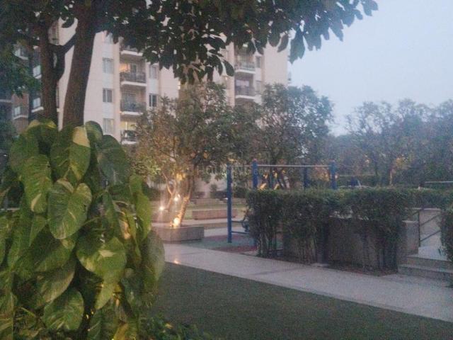 4 BHK Apartment in Sector 62 for rent Gurgaon. The reference number is 19355717
