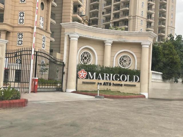 4 BHK Apartment in Sector 72 for rent Gurgaon. The reference number is 20381009