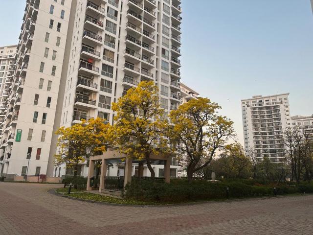4 BHK Apartment in Whitefield for rent Bengaluru. The reference number is 19319974