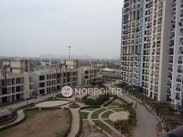 4 BHK Flat In Amrapali Platinum for Rent In Sector 119