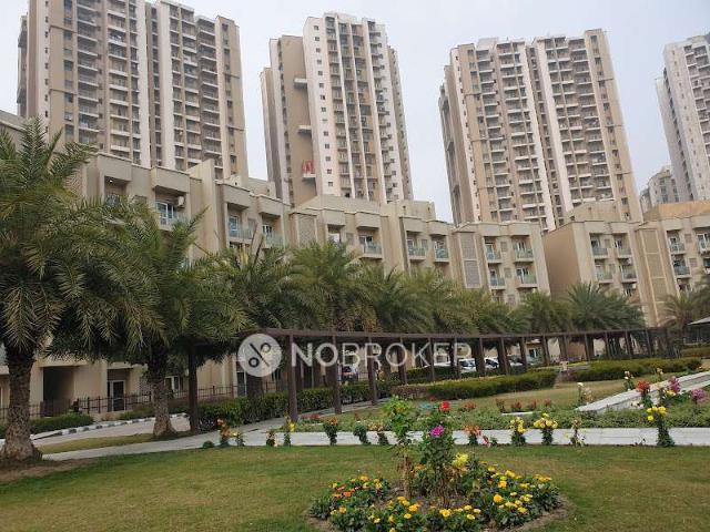 4 BHK Flat In Paras Tierea Premium Floor for Rent In Sector 137