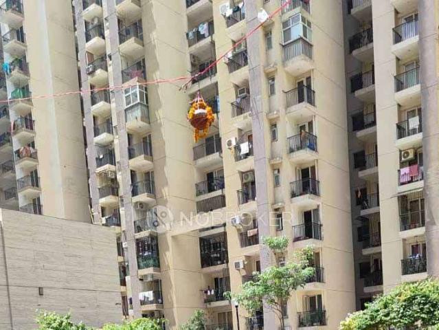 4 BHK Flat In Pigeon Spring Meadows for Rent In Patwari