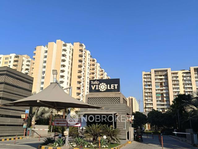 4 BHK Flat In Tulip Voilet For Sale In Sector 69
