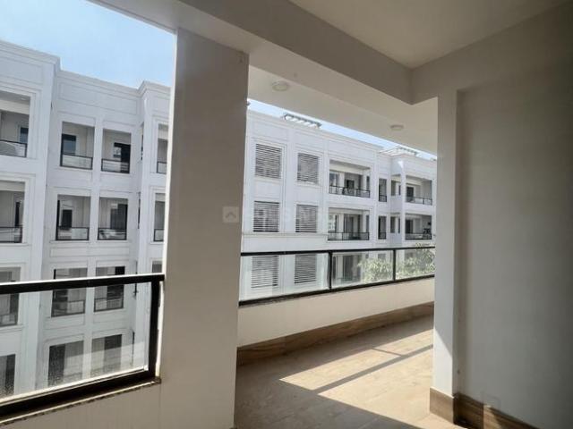 4 BHK Independent Builder Floor in DLF Phase 5 for rent Gurgaon. The reference number is 20279223