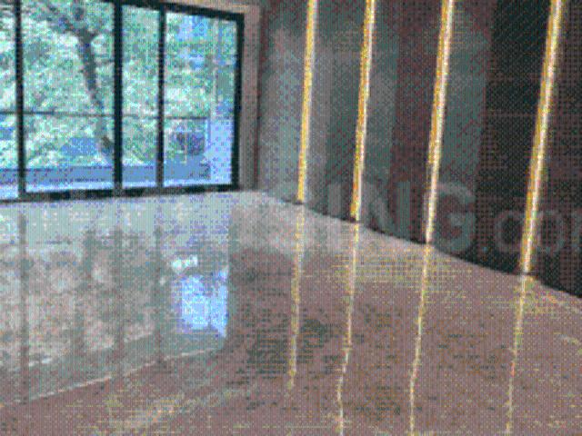 4 BHK Independent Builder Floor in DLF Phase 1 for rent Gurgaon. The reference number is 19946697
