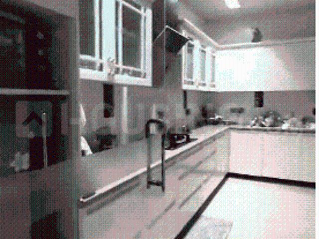 4 BHK Independent Builder Floor in DLF Phase 2 for resale Gurgaon. The reference number is 20833314