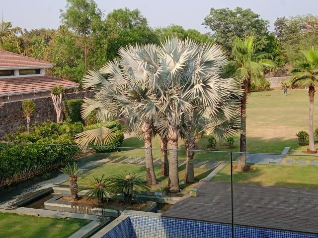 4 BHK Independent Builder Floor in Satbari for resale New Delhi. The reference number is 16935837