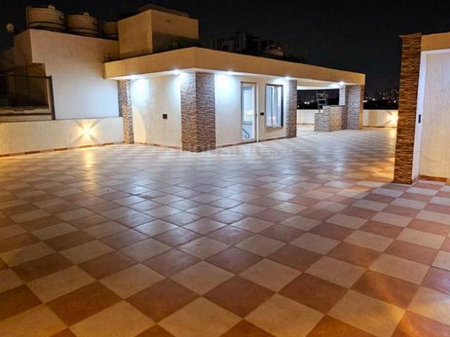 4 BHK Independent Builder Floor in Sector 49 for resale Gurgaon. The reference number is 19996965
