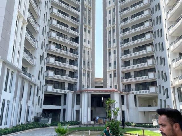 4 BHK Independent Builder Floor in Sector 8 for rent Chandigarh. The reference number is 16100236