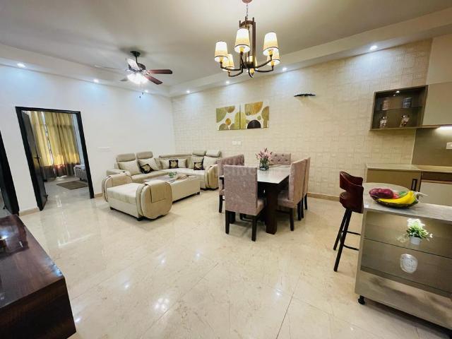 4 BHK Independent House in Nabha for rent Zirakpur. The reference number is 20750487