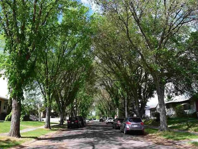 4 BR+Den, 2 full baths, FOREST Heights Raised Bungalow House available Aug 1st