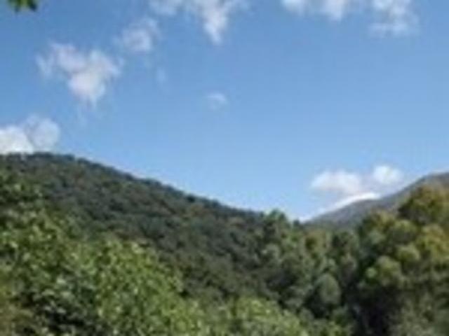4 Dormitorio Casa Casares M?laga 85464733