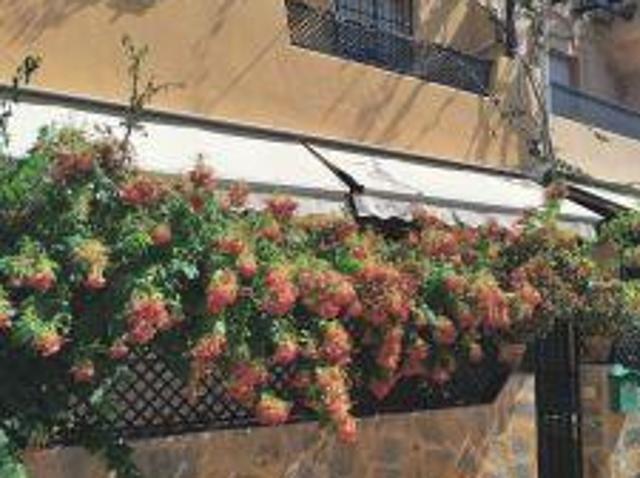 4 Dormitorio Apartamentos Marbella La Patera 103354276