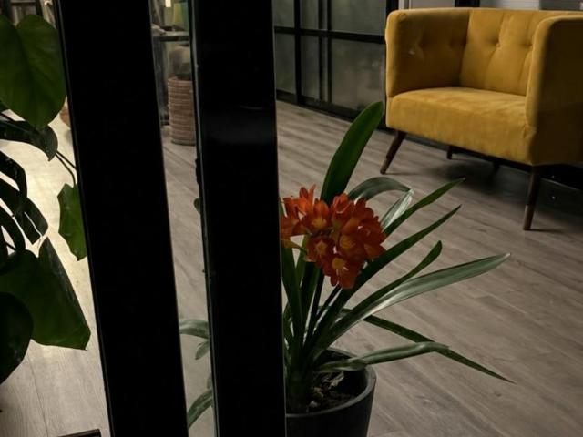 4 Dormitorio Apartamentos A Coruña A Coruña 102145383