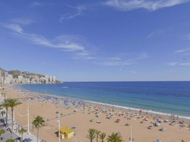 4 Dormitorio Apartamentos Alicante Communidad Valencia 92824816