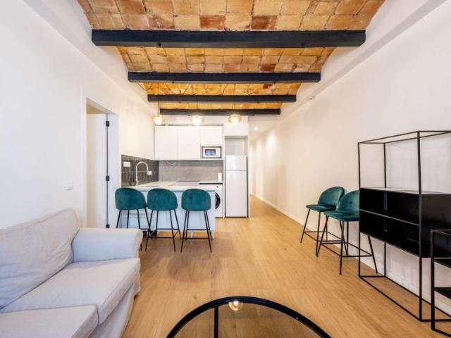 4 Dormitorio Apartamentos Barcelona Barcelona 101771629