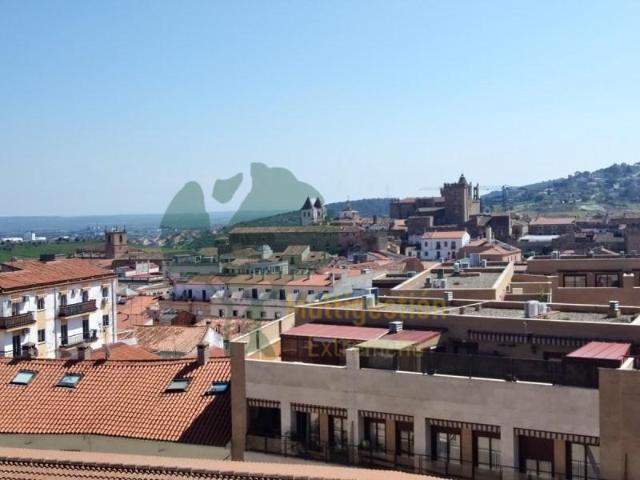 4 Dormitorio Apartamentos Cáceres Cáceres 100640250