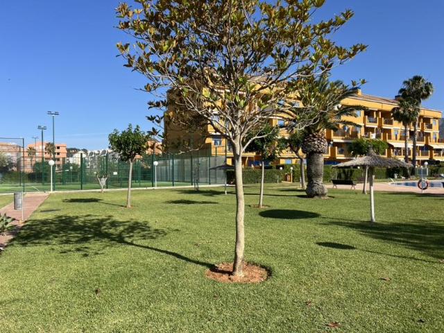 4 Dormitorio Apartamentos Denia Alicante 98395565