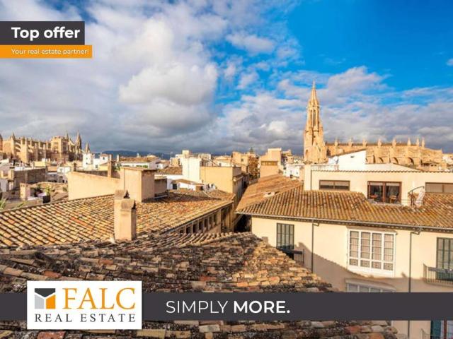 4 Dormitorio Apartamentos Palma De Mallorca Spanien LS99706117