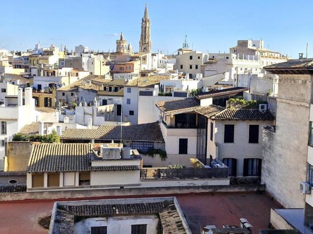 4 Dormitorio Apartamentos Palma De Mallorca Spanien LS101991487