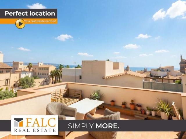 4 Dormitorio Apartamentos Palma Spanien 101738668
