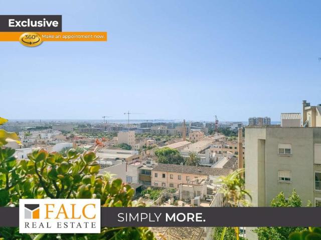 4 Dormitorio Apartamentos Palma Spanien 102206943